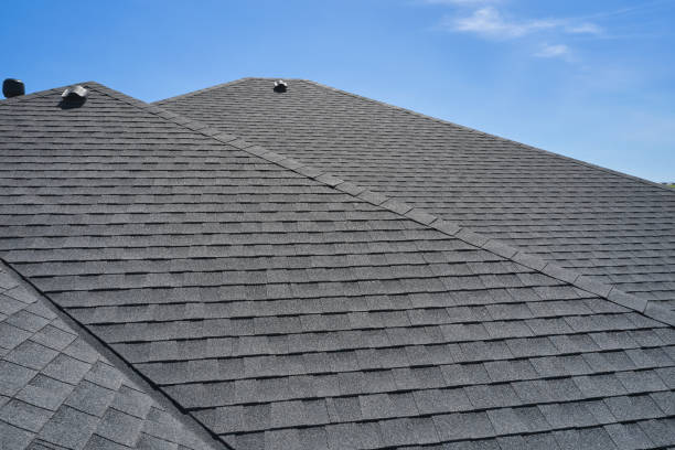 Best Skylight Installation and Repair  in La Homa, TX